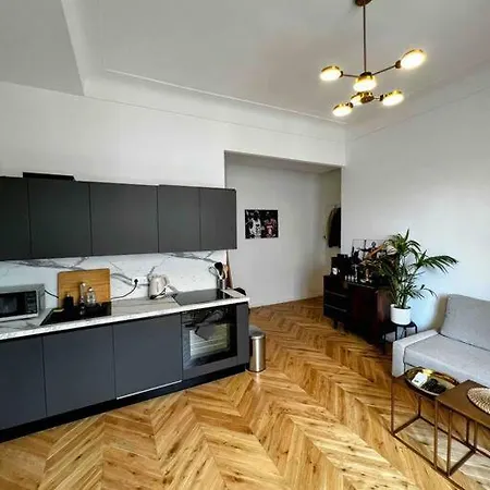 Apartament - Gare Nice-ville Nicea